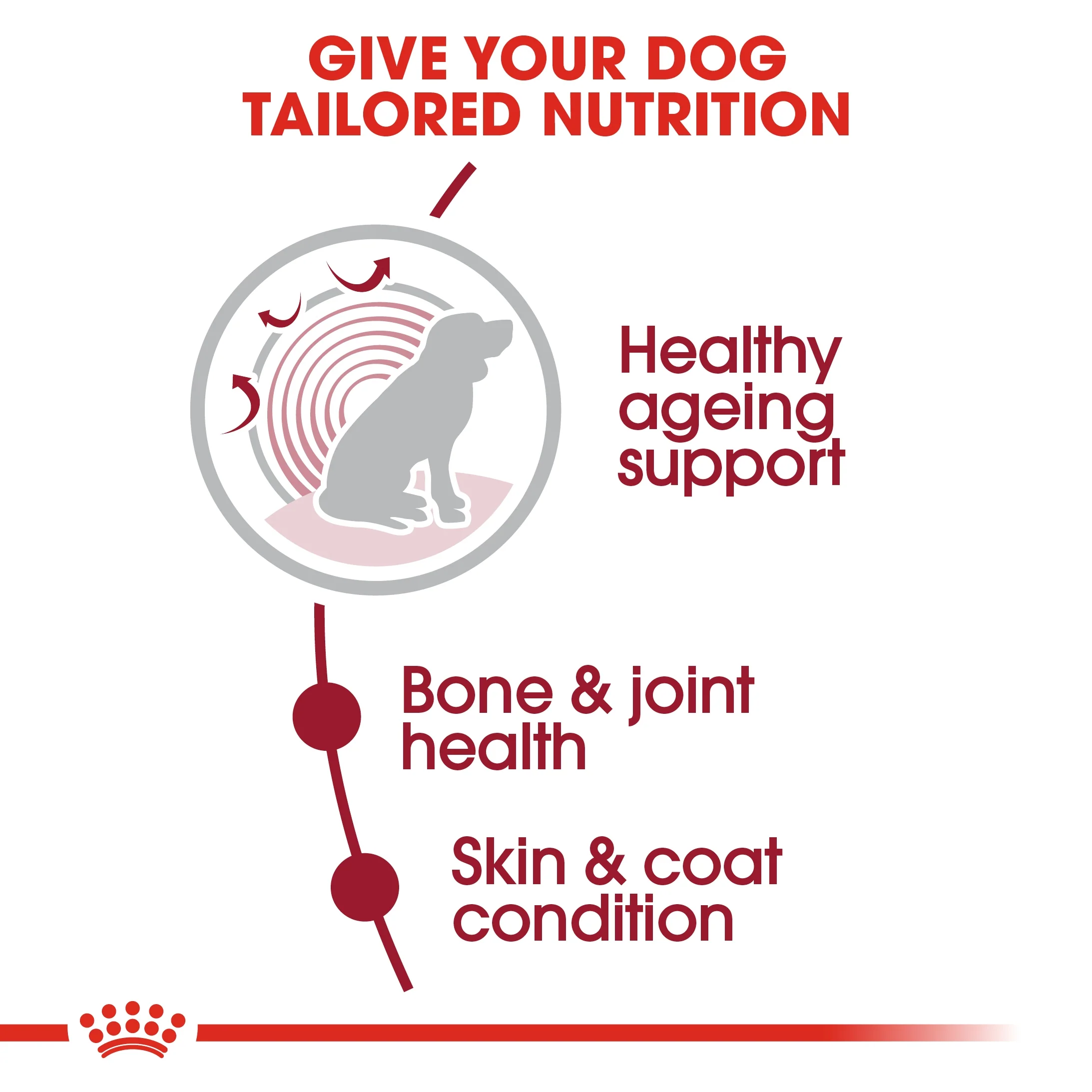 Royal Canin Size Health Medium 10+ Ageing Dry Dog Food - 3kg - Image 6