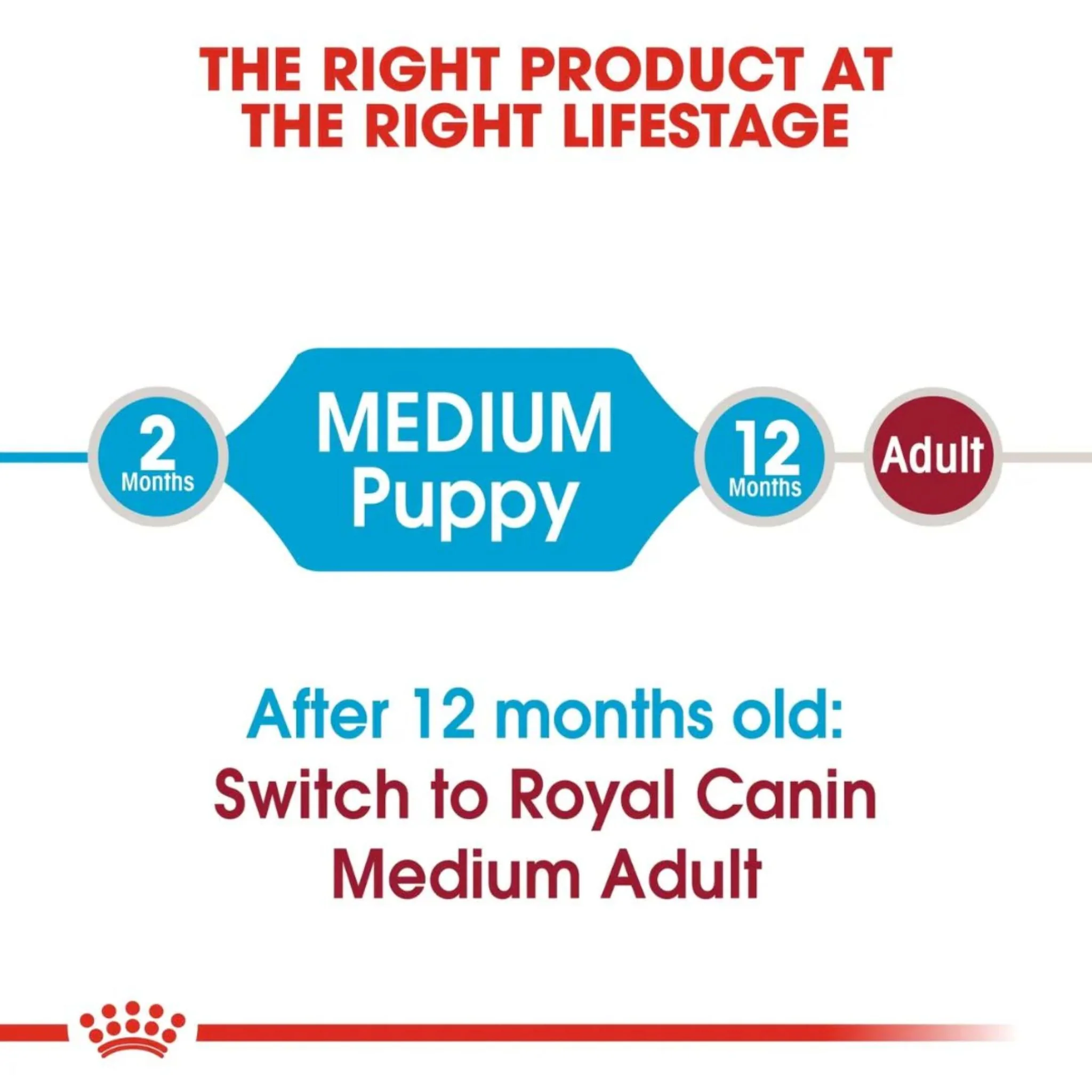 Royal Canin Medium Puppy Healthy Dry Food - Image 3