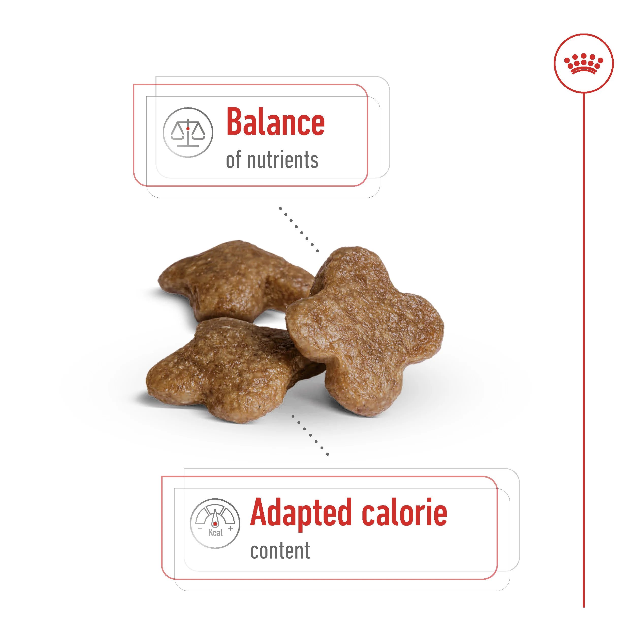 Royal Canin Size Health Mini Adult 8+ Dog Food - 2kg - Image 4