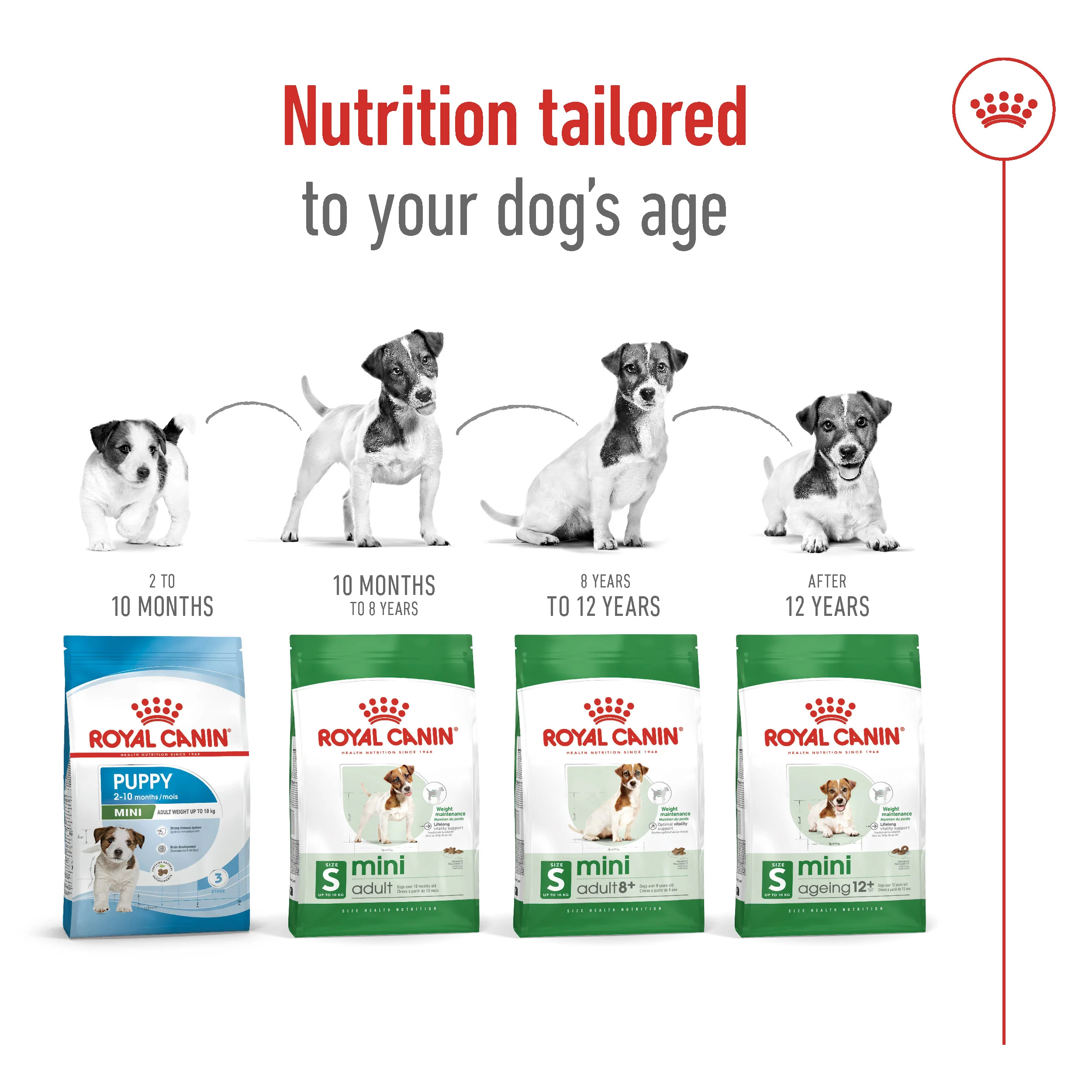 Royal Canin Size Health Mini Adult 8+ Dog Food - 2kg - Image 6