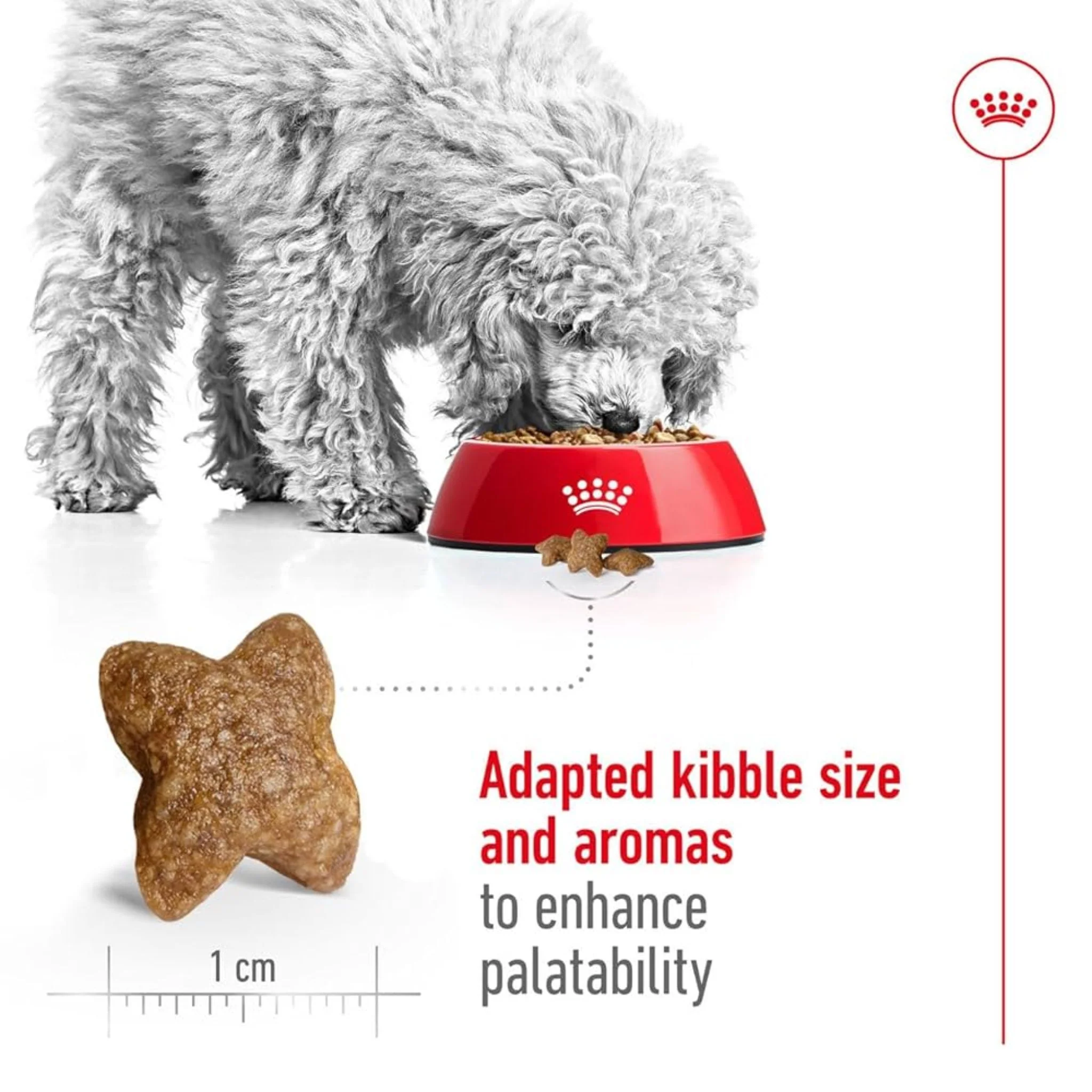 Royal Canin Size Health Mini Adult Dog Dry Food - Image 5