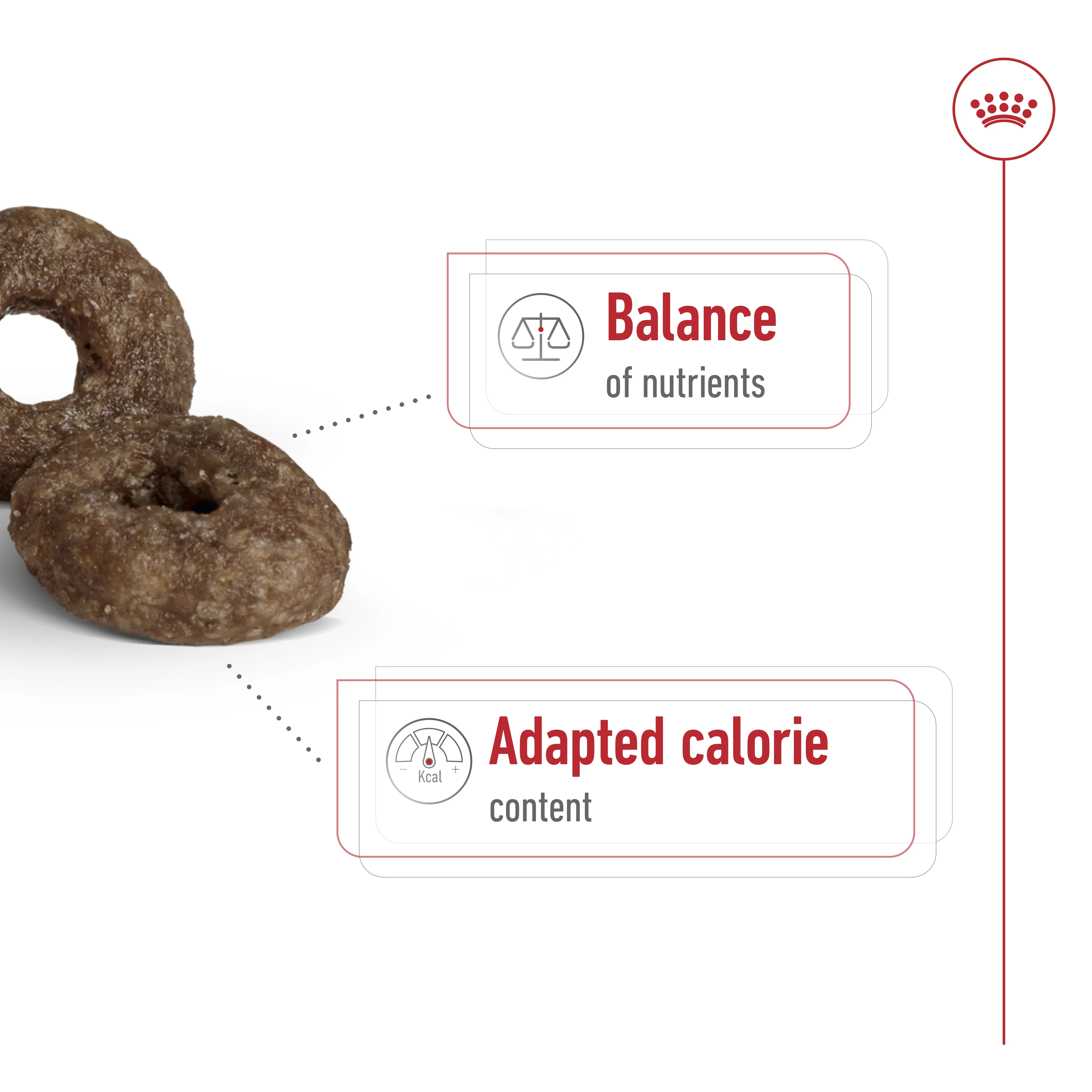 Royal Canin Size Health Mini Ageing 12+Dry Dog Food - 1.5kg - Image 4