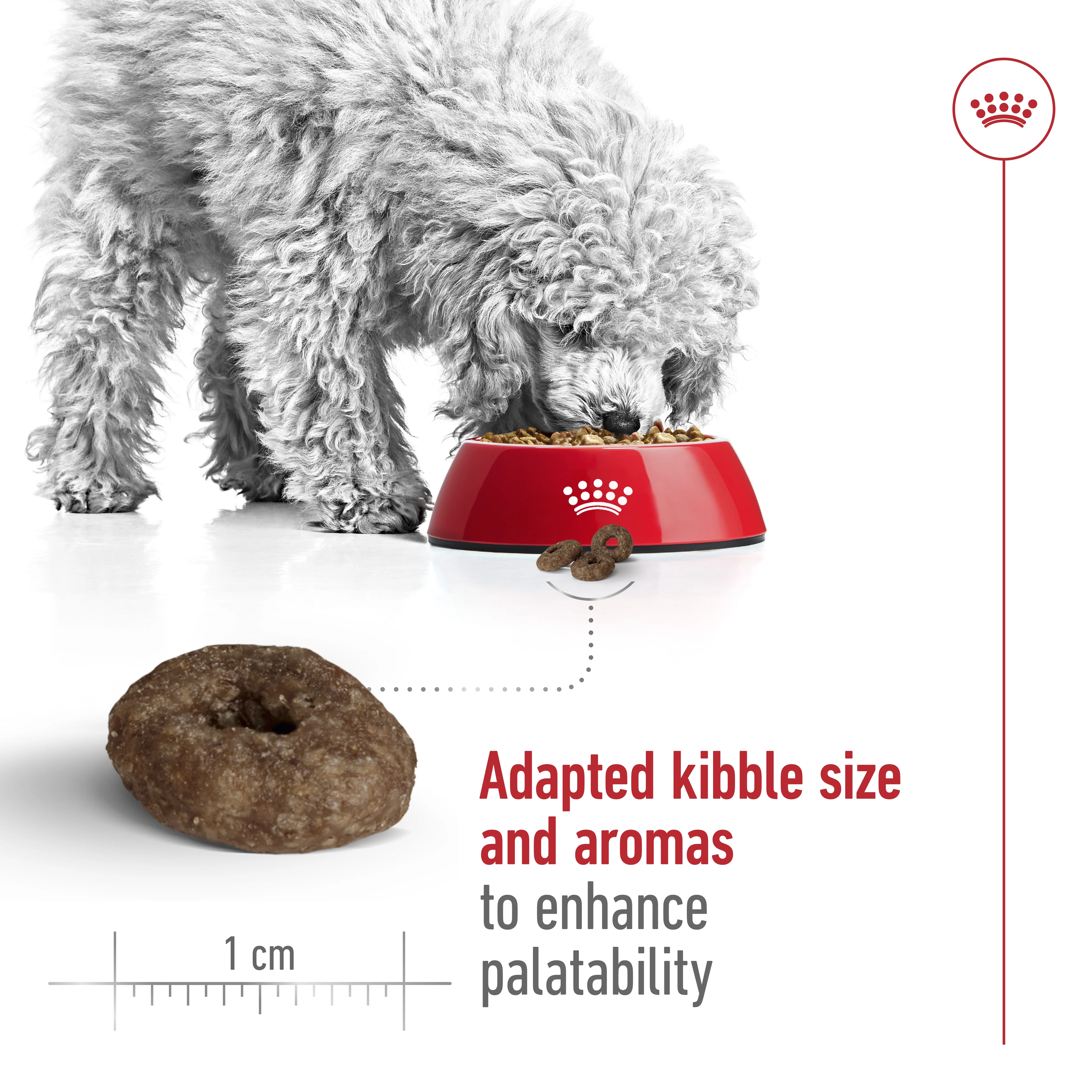 Royal Canin Size Health Mini Ageing 12+Dry Dog Food - 1.5kg - Image 5
