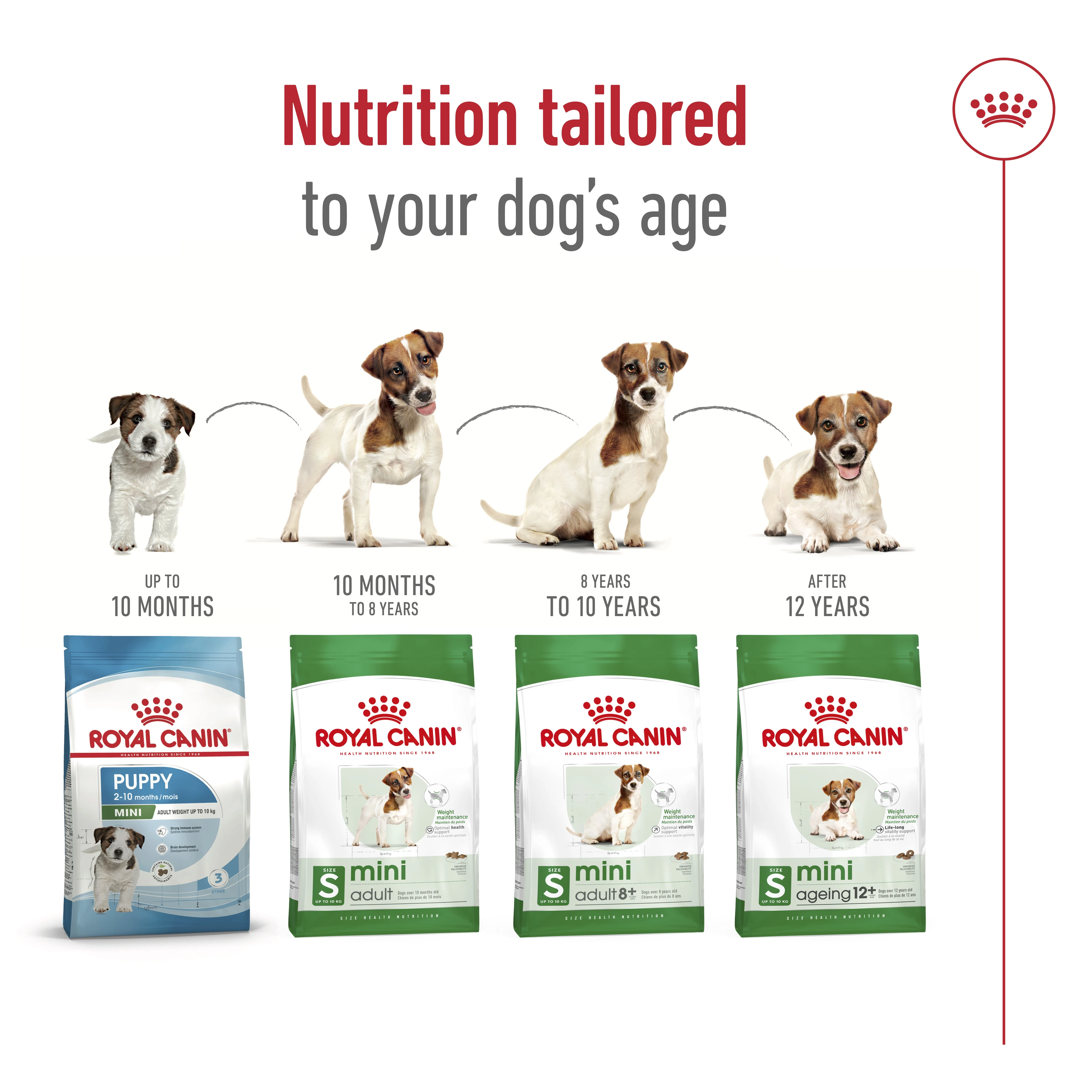 Royal Canin Size Health Mini Ageing 12+Dry Dog Food - 1.5kg - Image 7