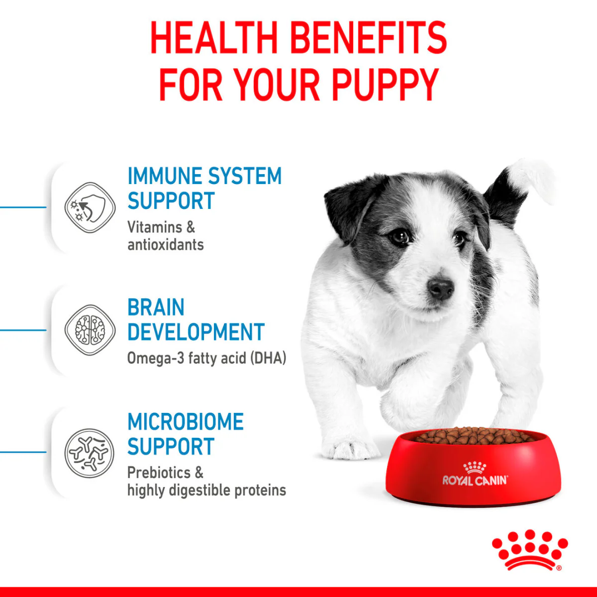 Royal Canin Size Health Mini  Puppy Dry Food - Image 3