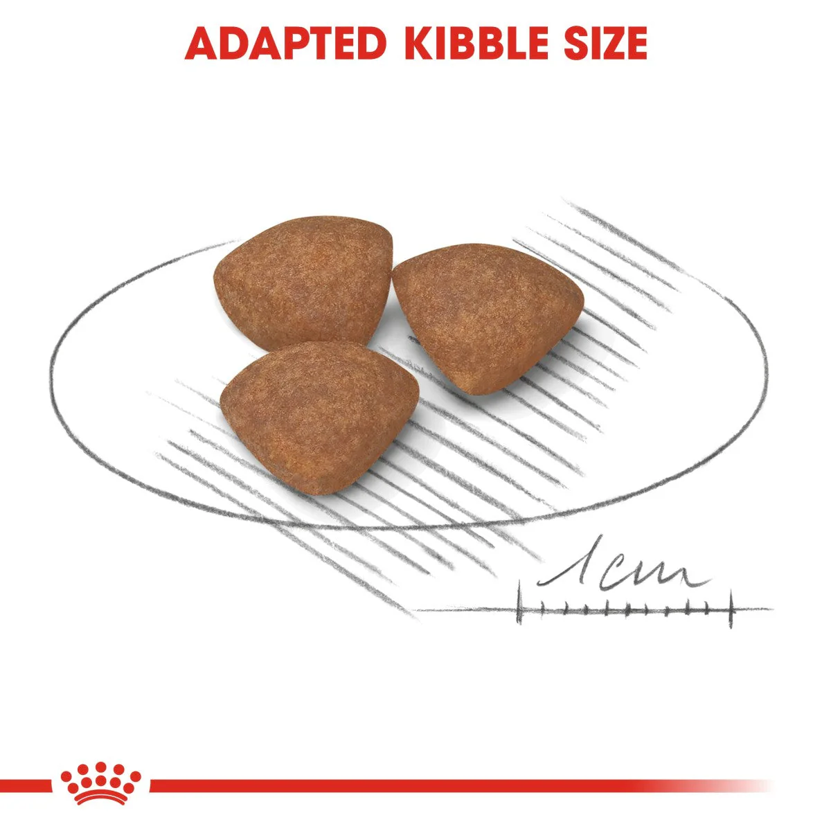 Royal Canin Size Health Mini  Puppy Dry Food - Image 4
