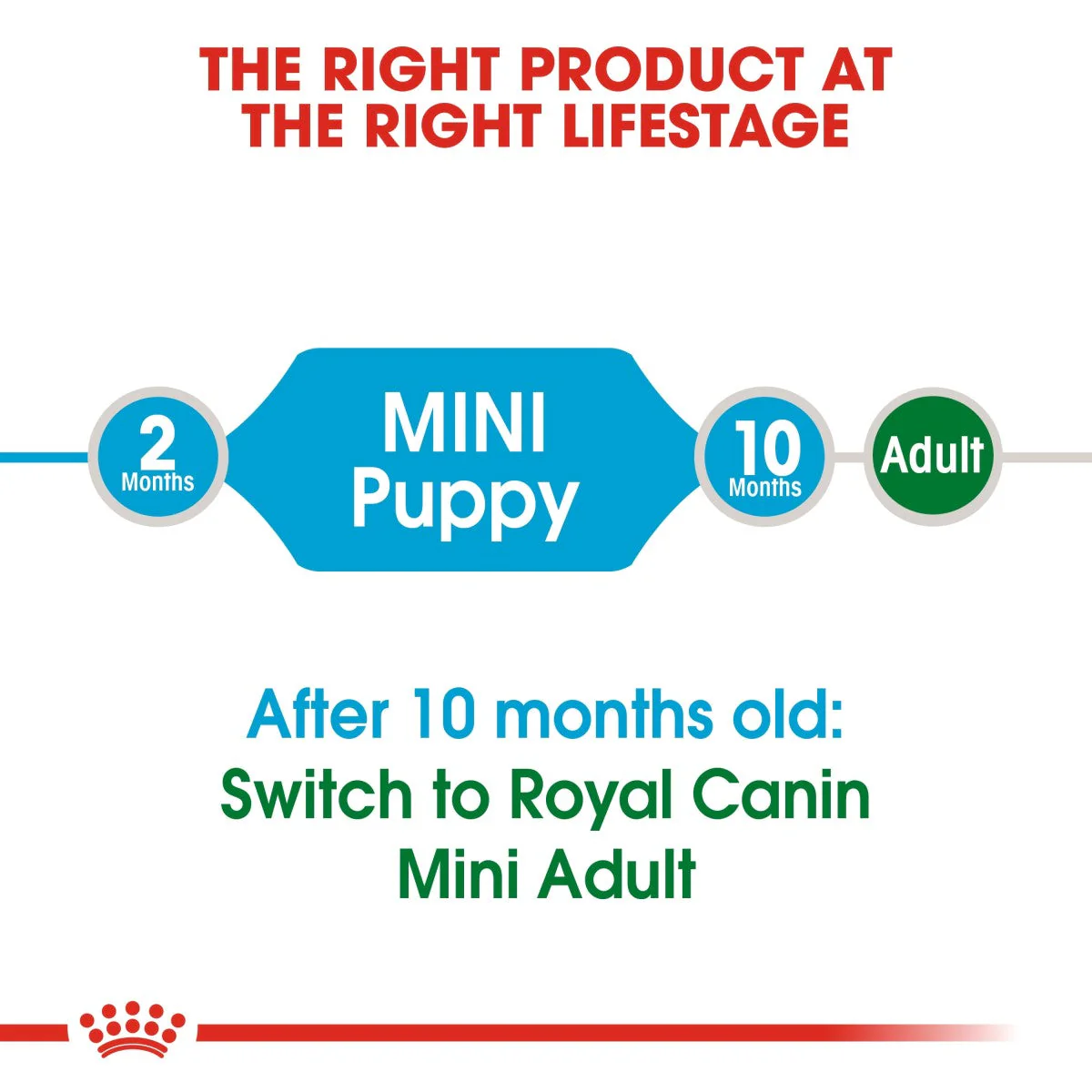 Royal Canin Size Health Mini  Puppy Dry Food - Image 5