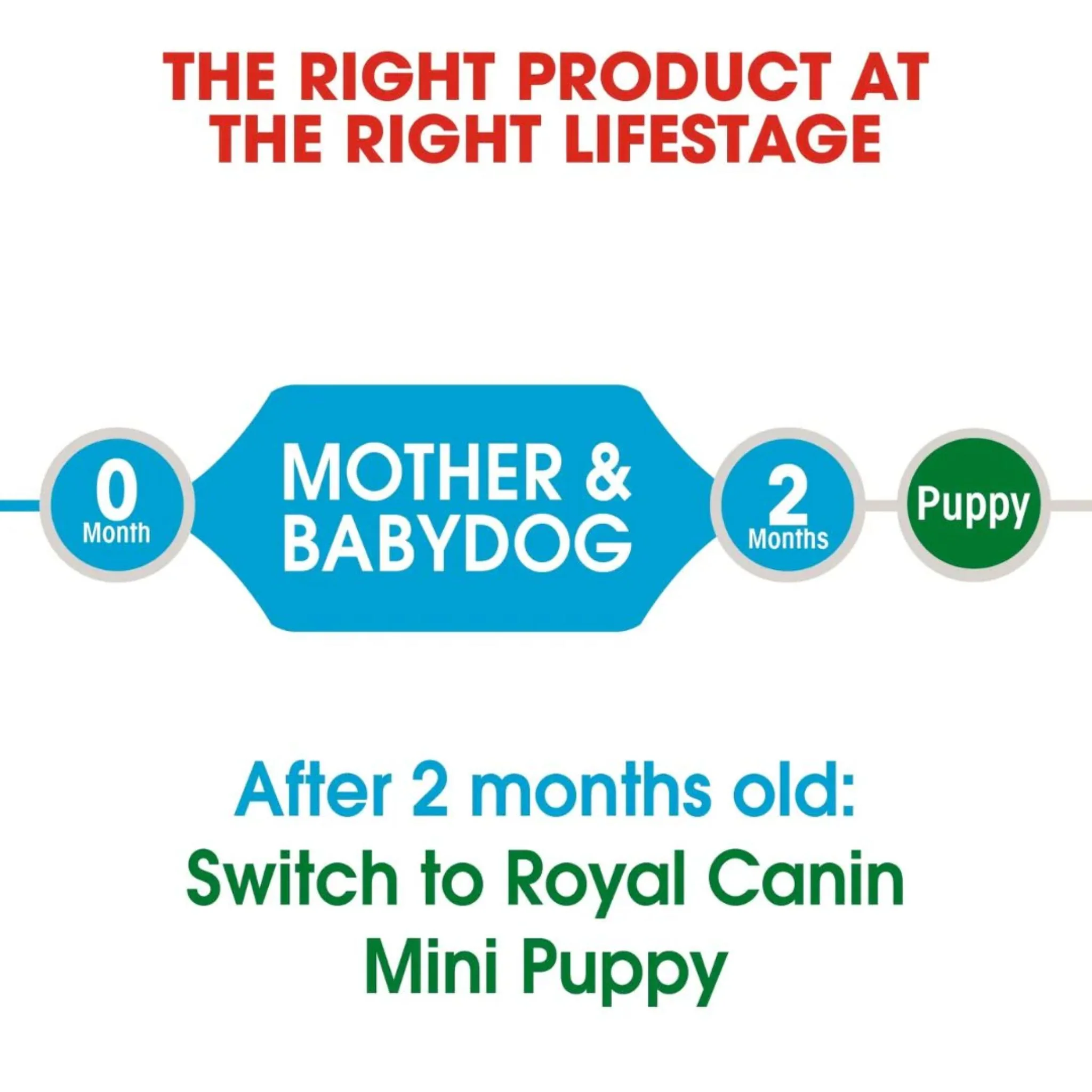 Royal Canin Size Health Mini Starter Dry Dog Food - 1kg - Image 3