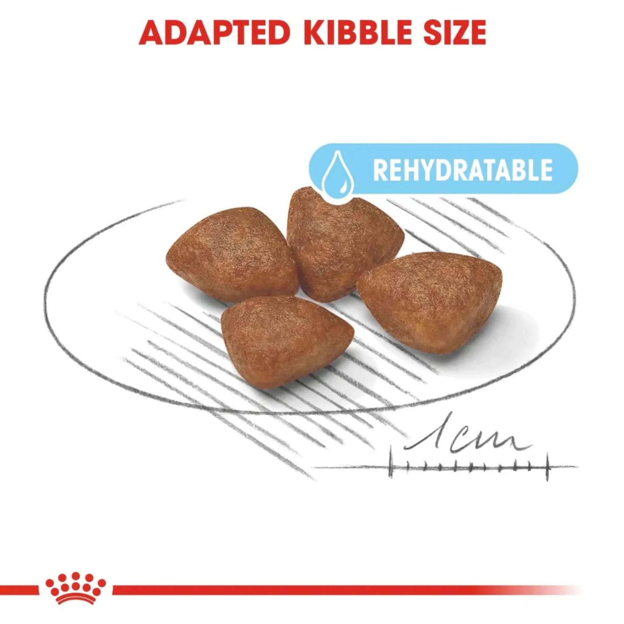 Royal Canin Size Health Mini Starter Dry Dog Food - 1kg - Image 4