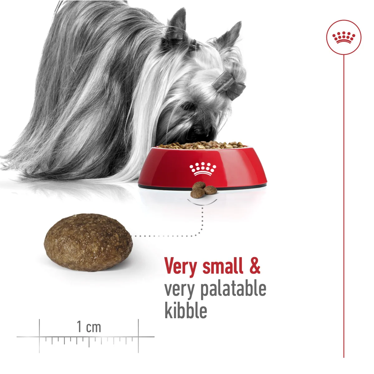 Royal Canin Size Health XS Adult 8+Dry Dog Food - 1.5kg - Image 5