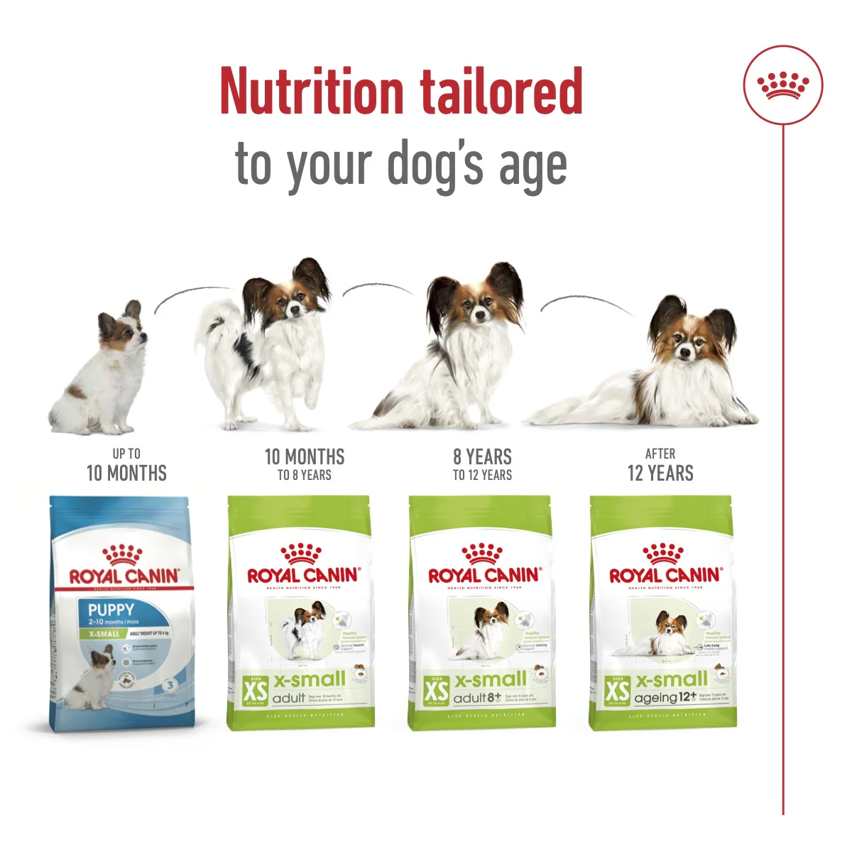 Royal Canin Size Health XS Adult 8+Dry Dog Food - 1.5kg - Image 6