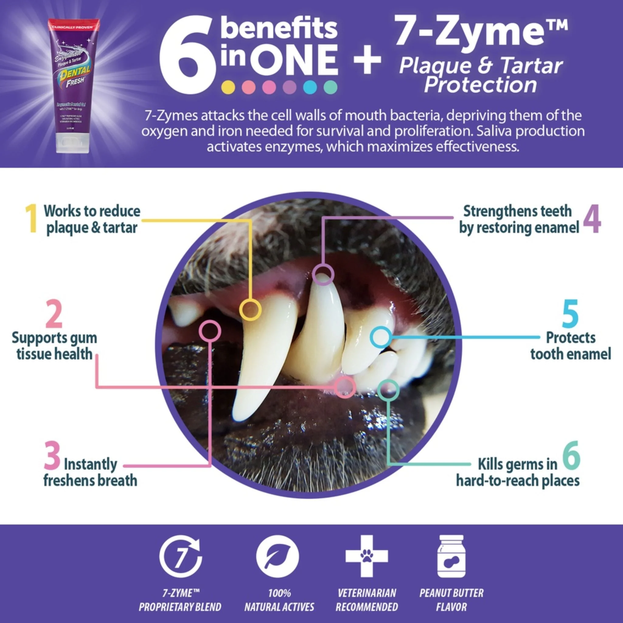 Synergy Labs Enzymatic Plaque & Tartar Gel With Finger Brush For Dog 2.5oz - 70.87g - Image 3