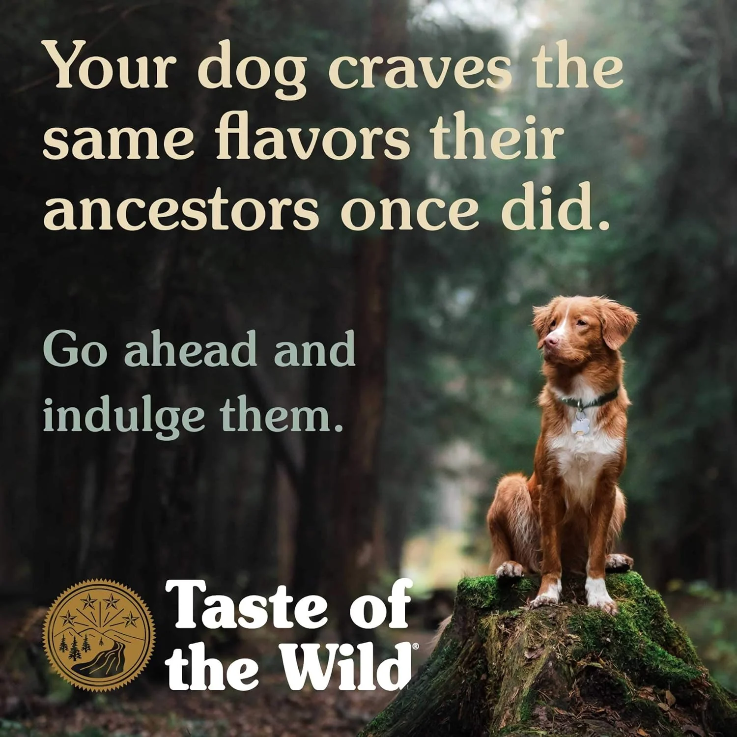 Taste Of The Wild & Roasted Venison Dog Dry Food - 2kg - Image 2
