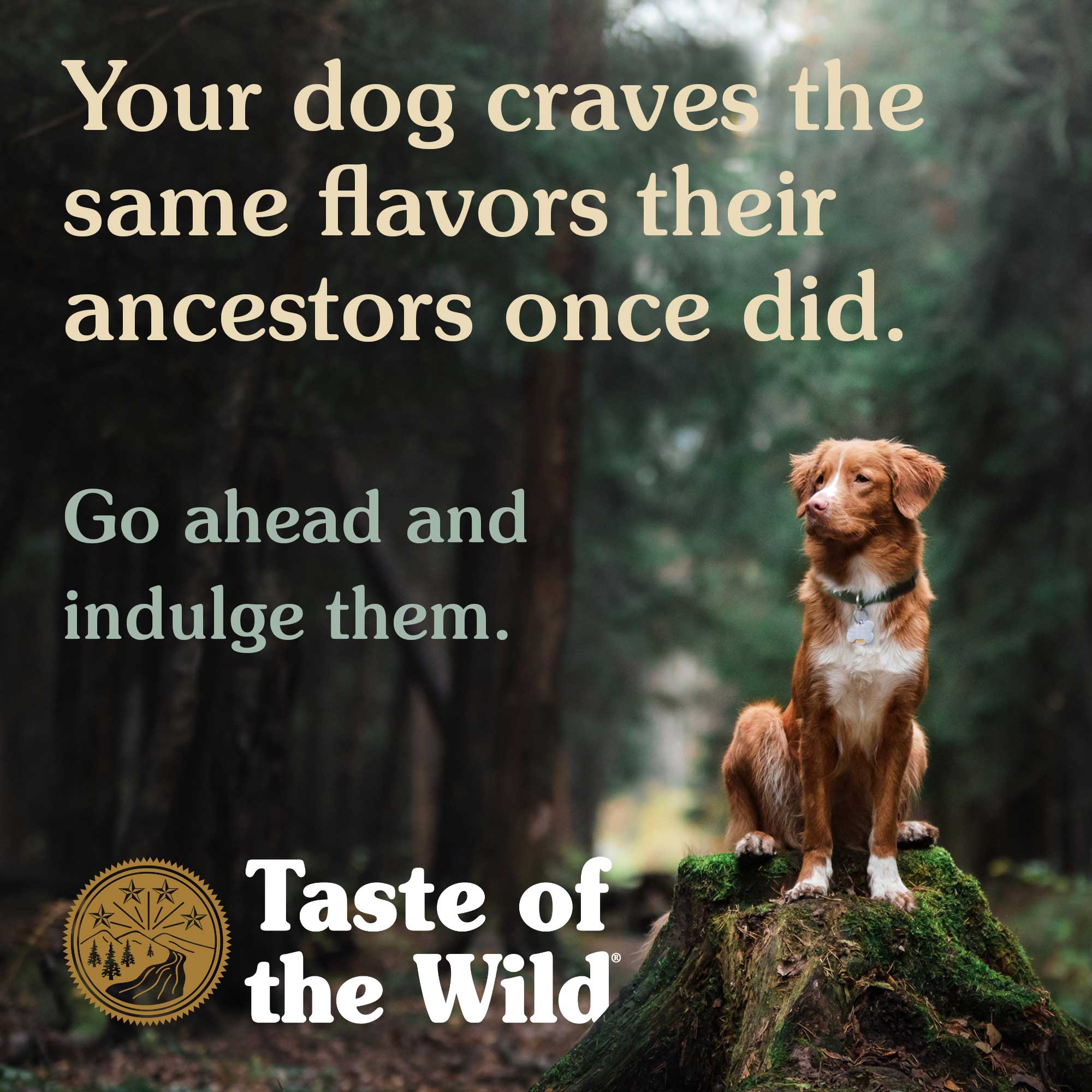 Taste Of The Wild Southwest Dry Dog Food - 2kg - Image 4