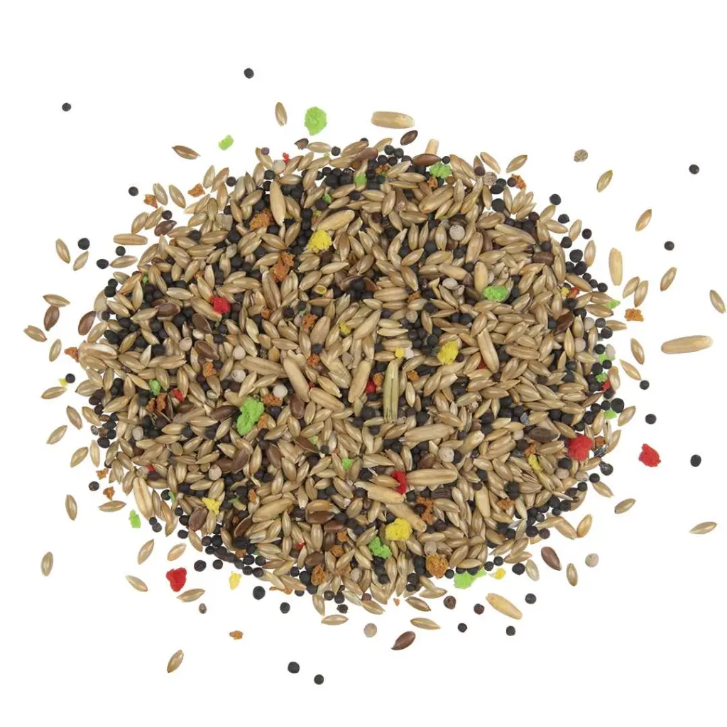 Witte Molen Country Canary Food Natural Seeds – 2.5Kg - Image 2