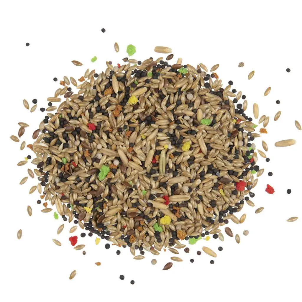 Witte Molen Country Canary Food Small Pack – 600g - Image 2
