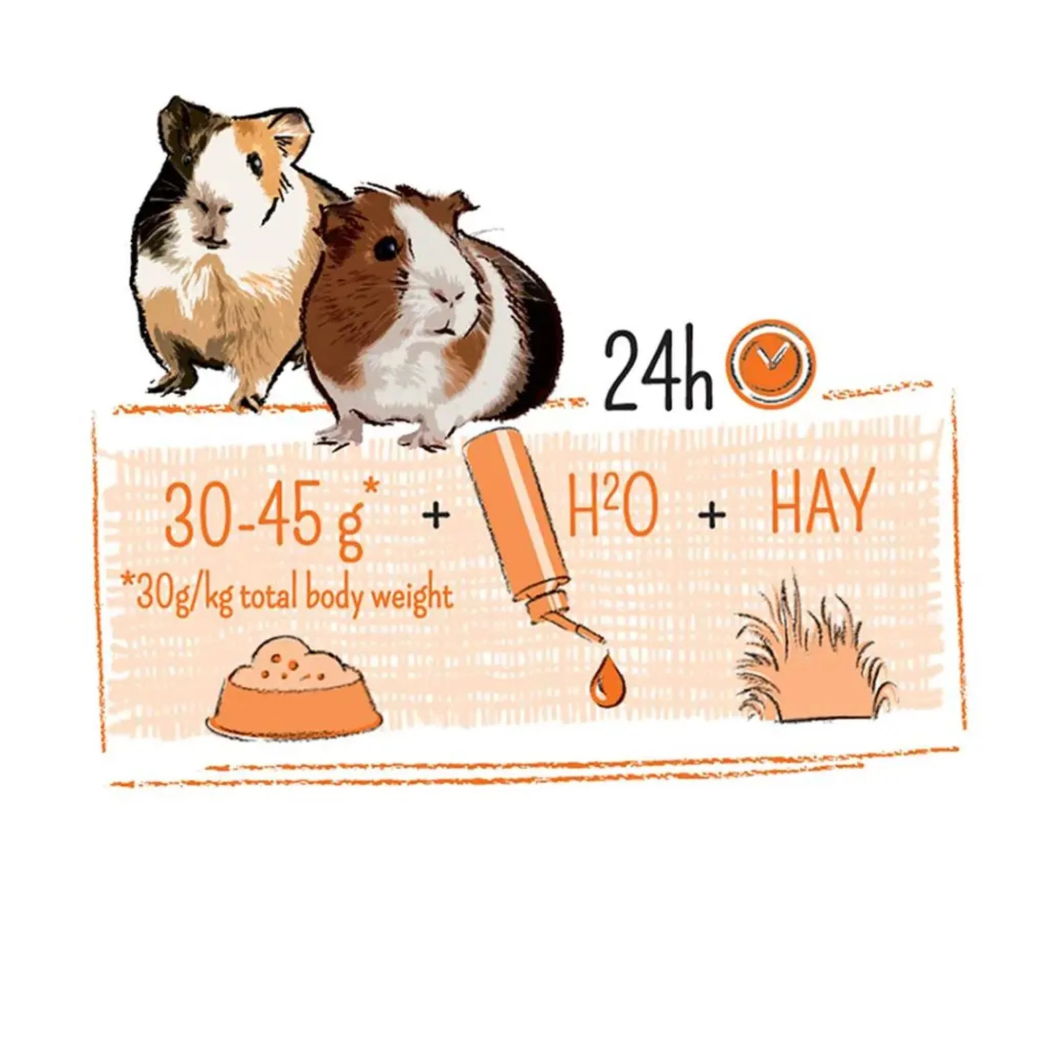 Witte Molen Puur Guinea Pig Food – 700g - Image 4
