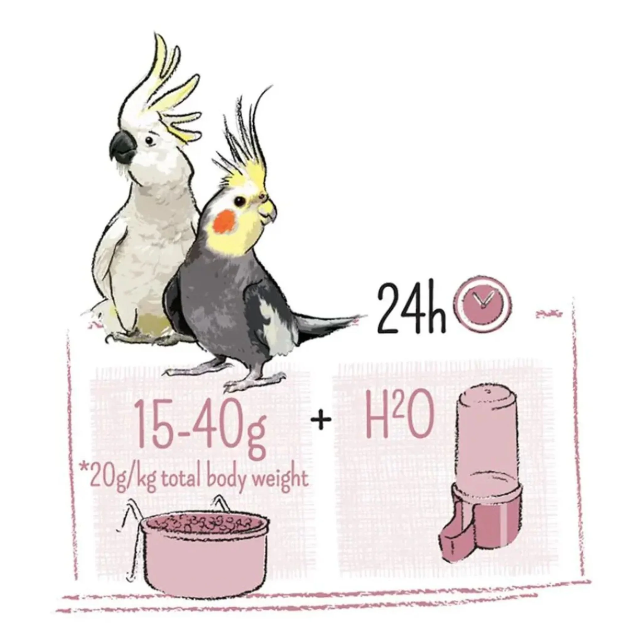 Witte Molen Puur Large Parakeet & Cockatoo Food – 750g - Image 3