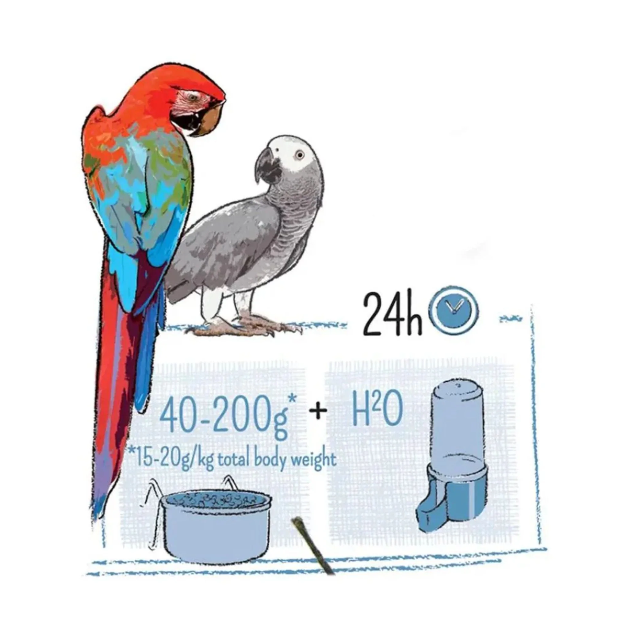 Witte Molen Puur Parrot Food – 2Kg - Image 3