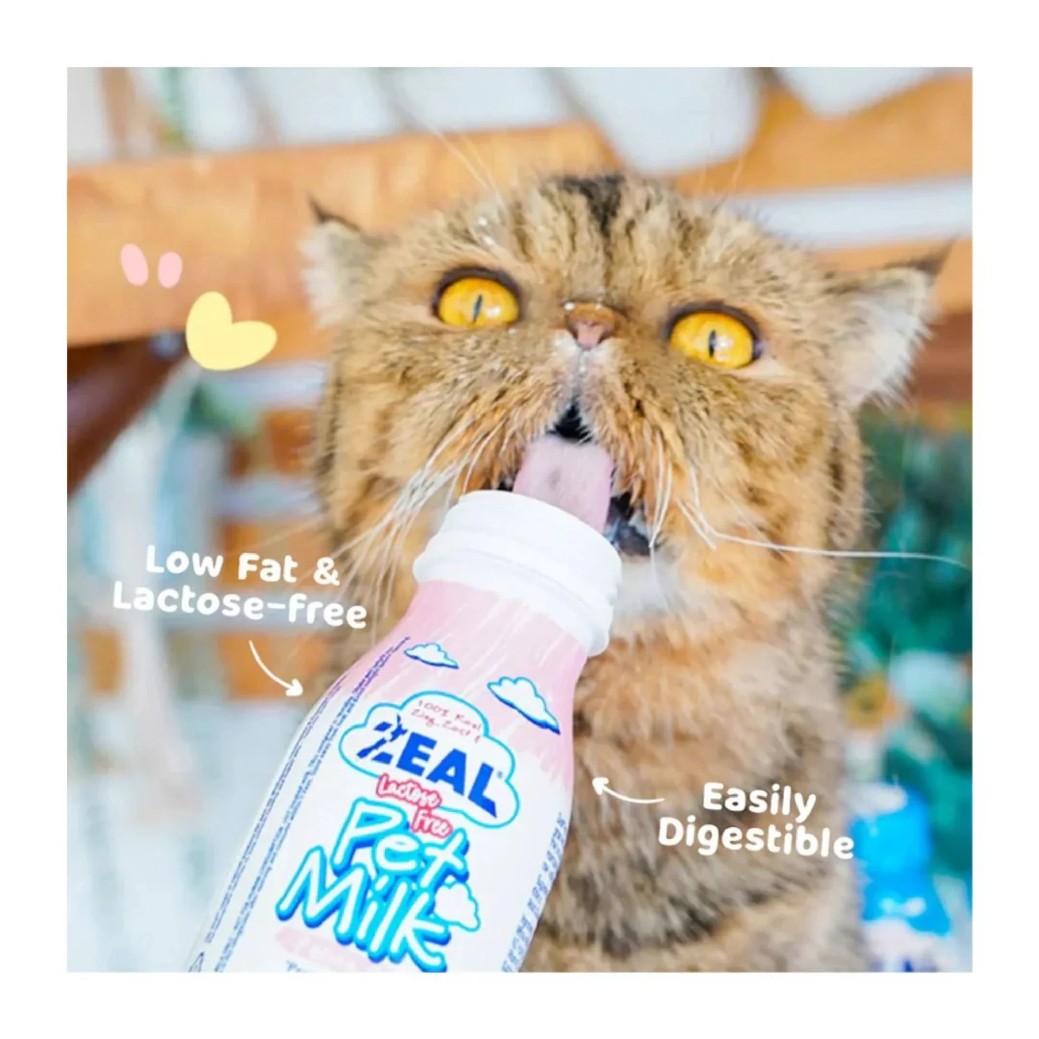 Zeal Cat Milk LactoseFree Feline Nutritional Care - 255ml - Image 4